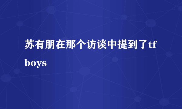 苏有朋在那个访谈中提到了tfboys