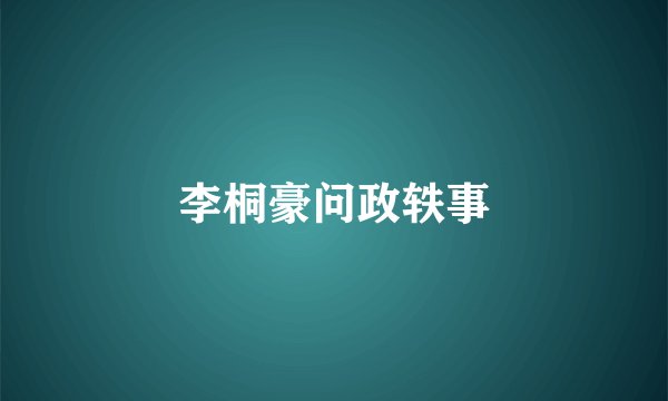 李桐豪问政轶事