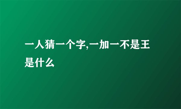 一人猜一个字,一加一不是王是什么