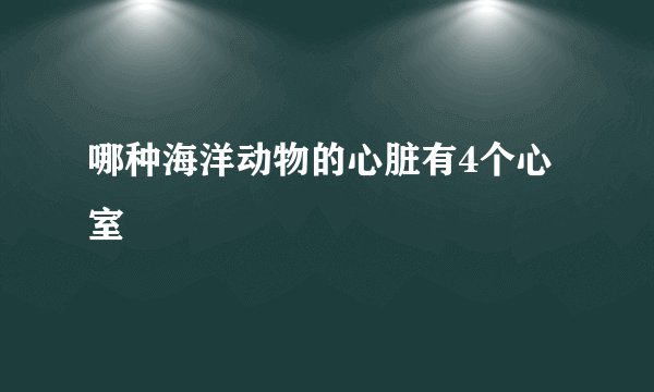 哪种海洋动物的心脏有4个心室