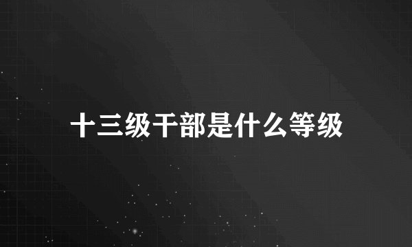十三级干部是什么等级