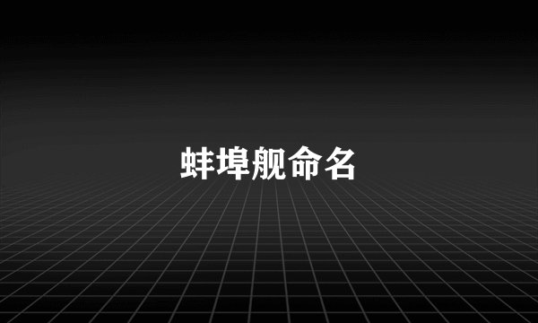 蚌埠舰命名