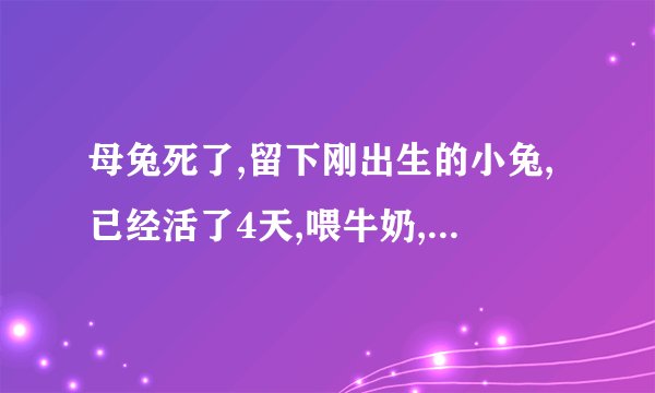 母兔死了,留下刚出生的小兔,已经活了4天,喂牛奶,可以活下去吗?