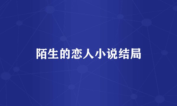 陌生的恋人小说结局