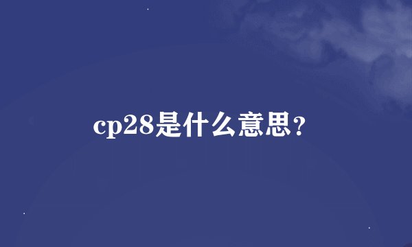 cp28是什么意思？