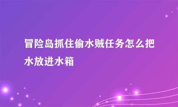 冒险岛抓住偷水贼任务怎么把水放进水箱
