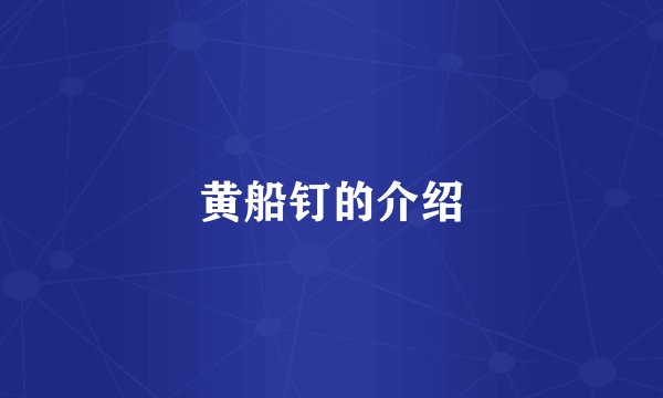 黄船钉的介绍