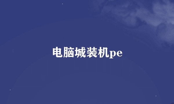 电脑城装机pe