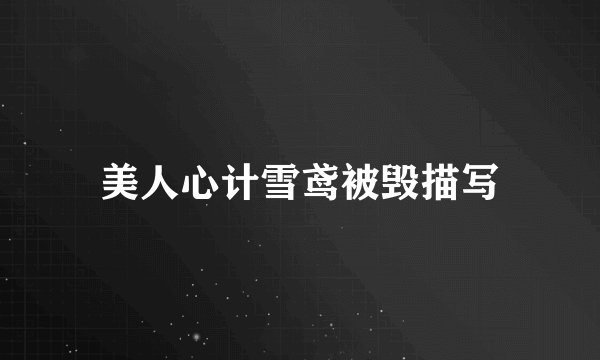 美人心计雪鸢被毁描写