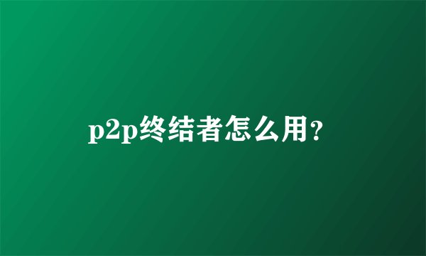 p2p终结者怎么用？