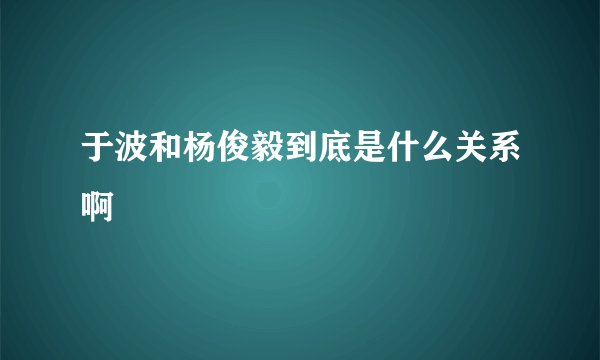 于波和杨俊毅到底是什么关系啊