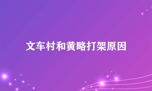 文车村和黄略打架原因