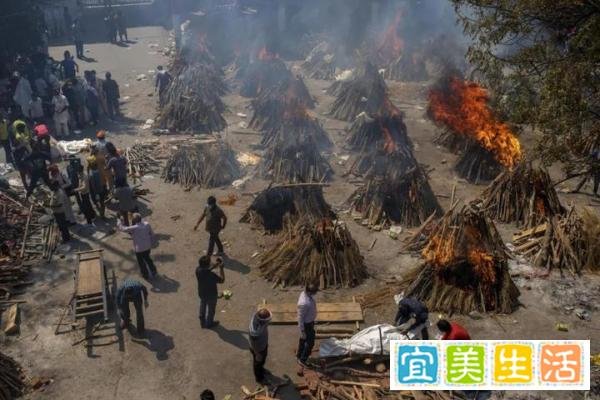 印度富豪包机飞泰国逃难？泰国政府：禁止来自印度的外国人入境
