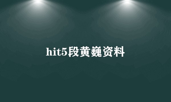 hit5段黄巍资料