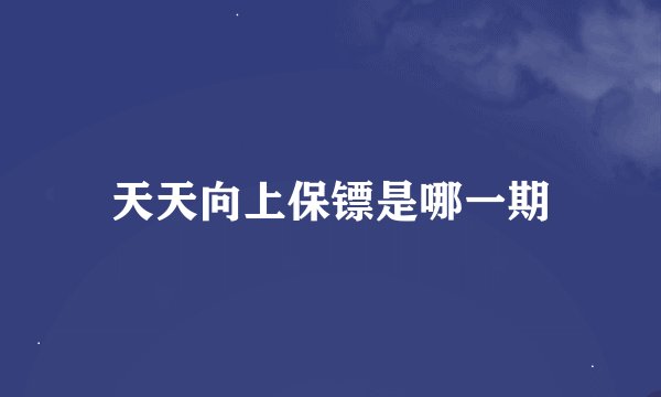 天天向上保镖是哪一期