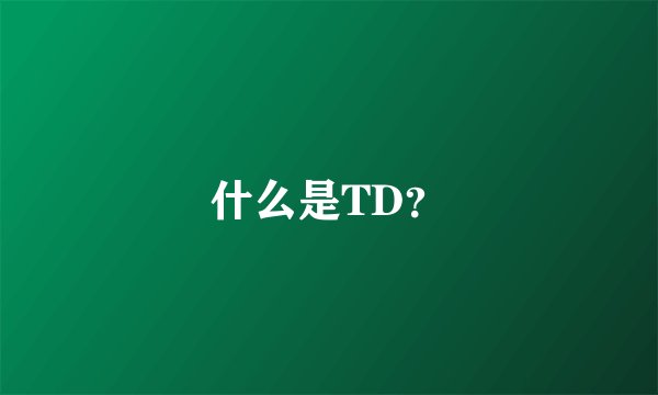 什么是TD？