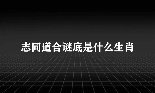 志同道合谜底是什么生肖