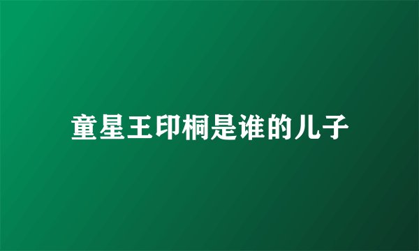 童星王印桐是谁的儿子