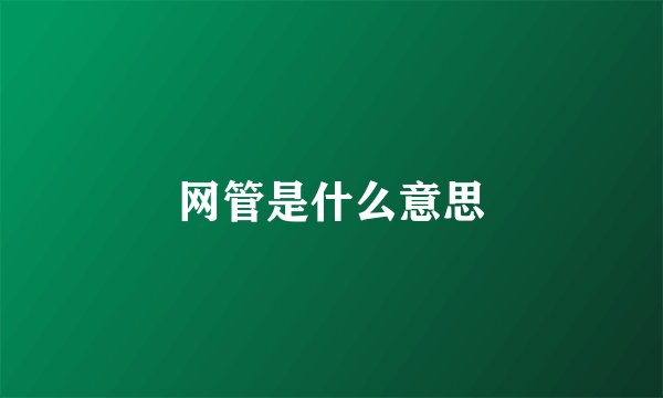 网管是什么意思