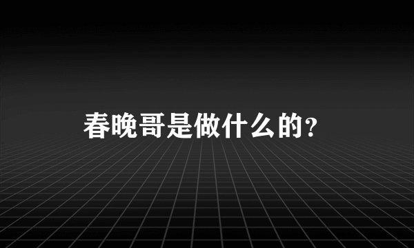 春晚哥是做什么的？
