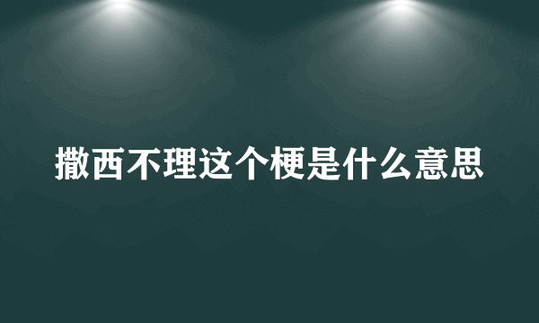 撒西不理这个梗是什么意思