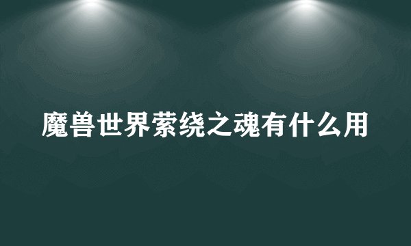 魔兽世界萦绕之魂有什么用