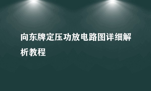 向东牌定压功放电路图详细解析教程