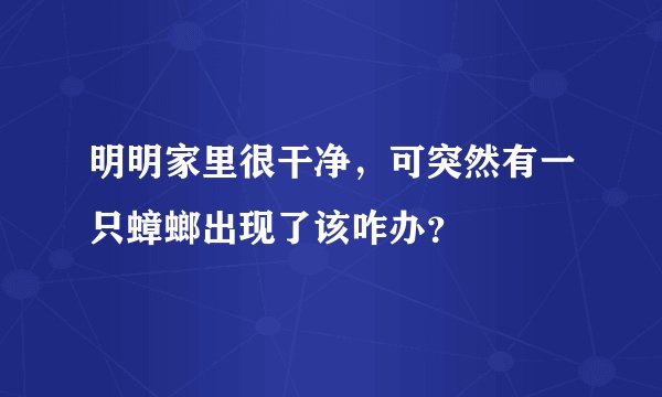 明明家里很干净，可突然有一只蟑螂出现了该咋办？