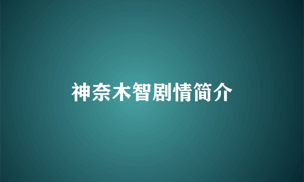 神奈木智剧情简介