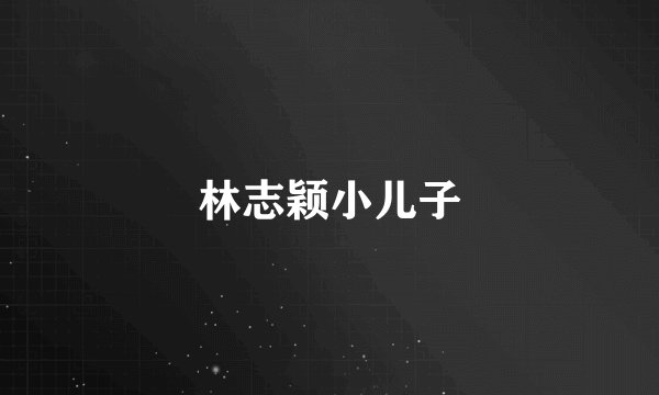 林志颖小儿子