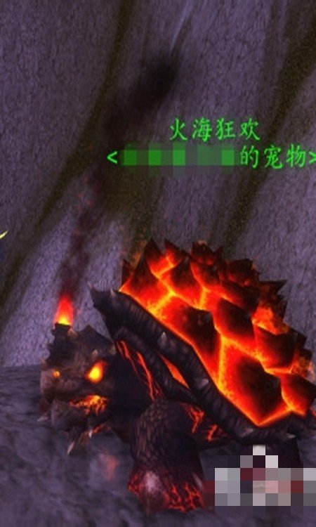 魔兽世界熔岩龟哪抓,海山具体位置和方法。还有,熔岩犬嗜血怎么开