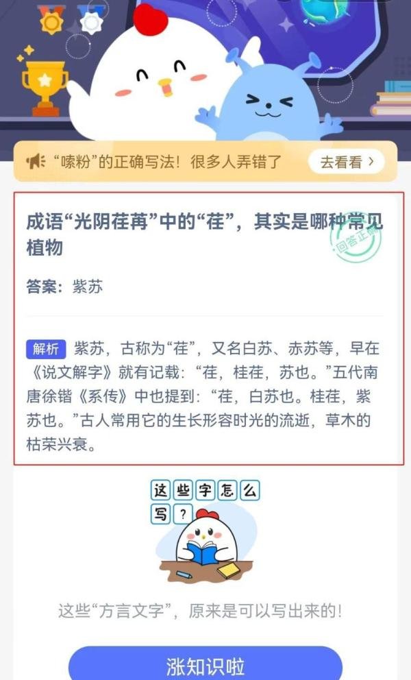 成语“光阴荏苒”中的“荏”是哪种常见植物？