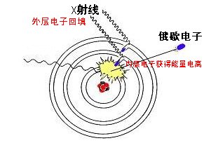 是高手请进!原子的能级跃迁与核能级跃迁有什么区别?答得好我会加分的!