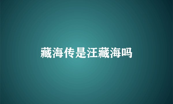 藏海传是汪藏海吗
