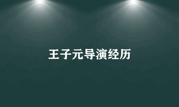 王子元导演经历