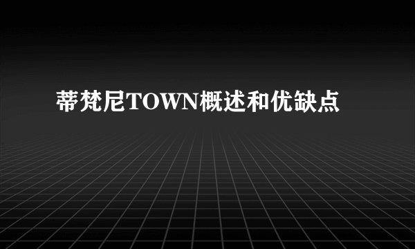 蒂梵尼TOWN概述和优缺点