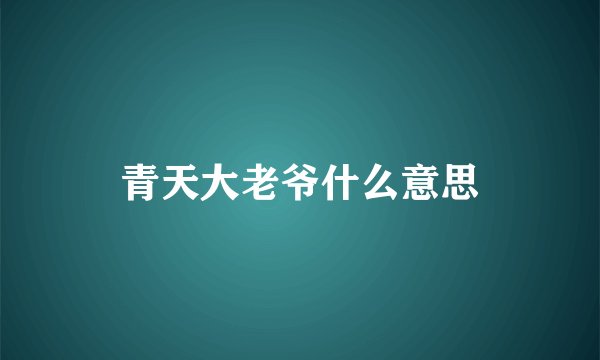 青天大老爷什么意思