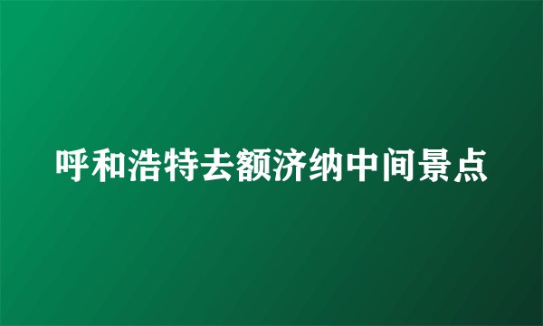 呼和浩特去额济纳中间景点
