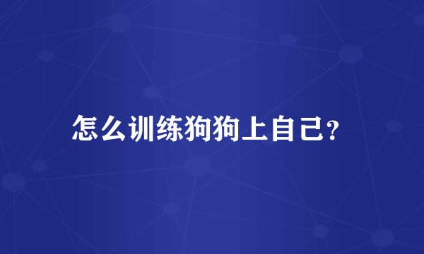 怎么训练狗狗上自己?
