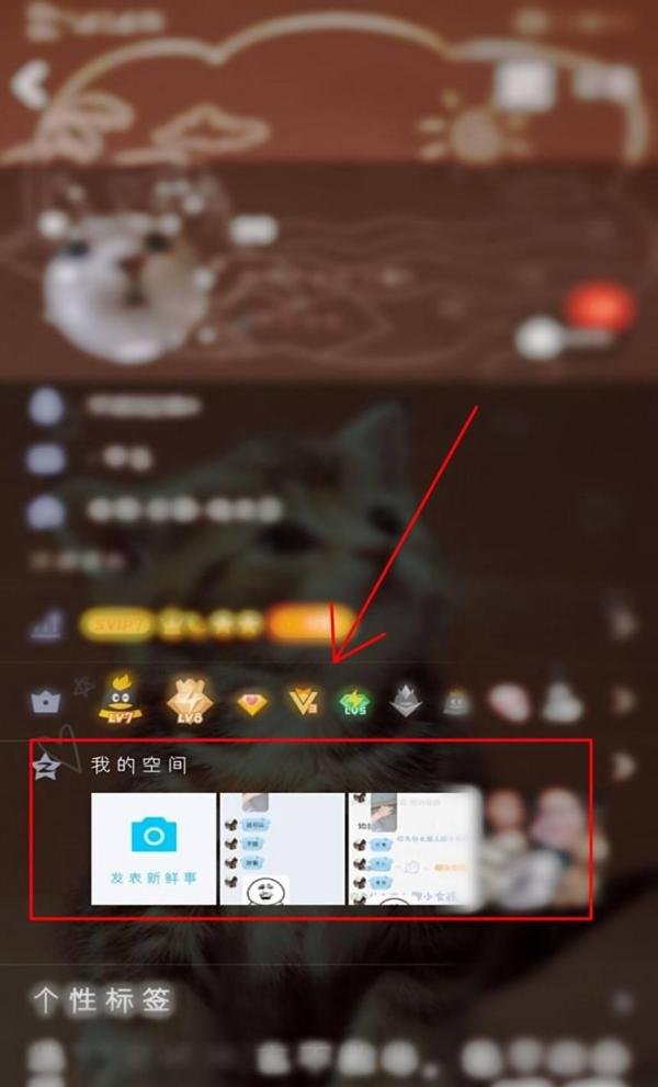 手机QQ空间主页背景如何设置自定义图片