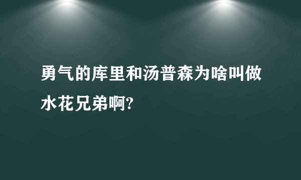 勇气的库里和汤普森为啥叫做水花兄弟啊?
