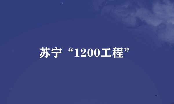 苏宁“1200工程”