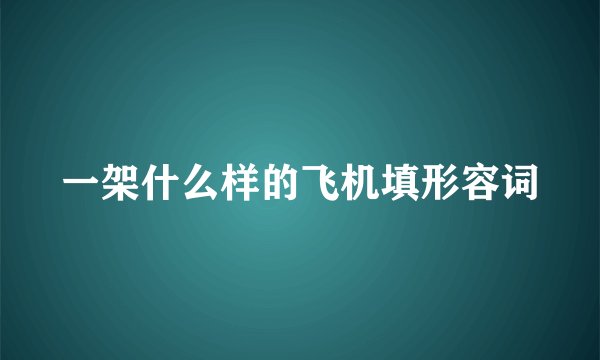一架什么样的飞机填形容词