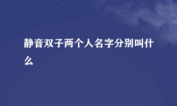 静音双子两个人名字分别叫什么