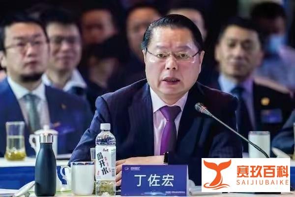 你怎么看?政协委员丁佐宏:鼓励60岁以上群体再就业