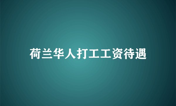 荷兰华人打工工资待遇