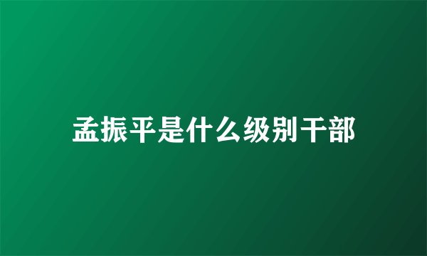 孟振平是什么级别干部