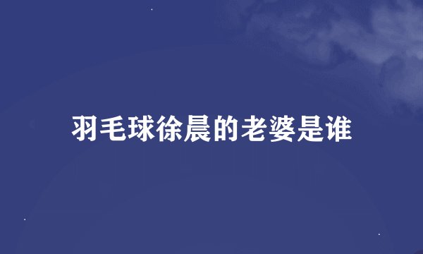 羽毛球徐晨的老婆是谁