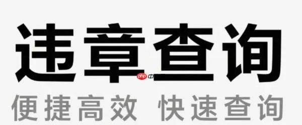 交管12123查询实时路况信息怎么看_交管12123查询实时路况信息指南