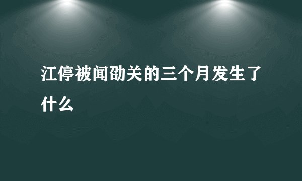 江停被闻劭关的三个月发生了什么